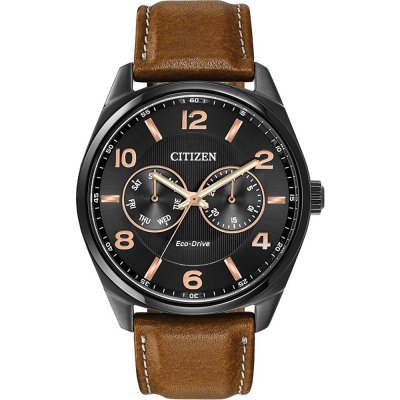 Orologio Citizen AO9025-05E