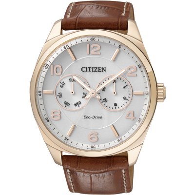 Orologio Citizen Elegance AO9024-16A