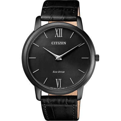 Orologio Citizen Elegance AR1135-10E Stiletto
